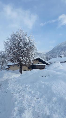 Appartement Müllner