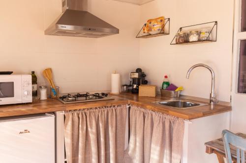 a kitchen with a sink and a microwave at Casa Rosalía in Ibi