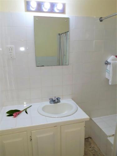 a white bathroom with a sink and a mirror at Paradise Inn in Port Antonio