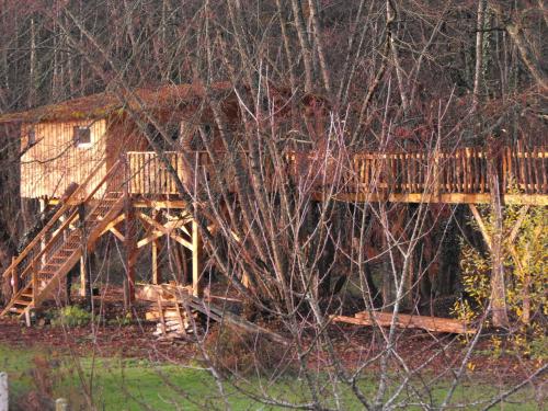 une cabane en rondins avec un pont dans les bois dans l'établissement Cabane des cerfs, à Allons