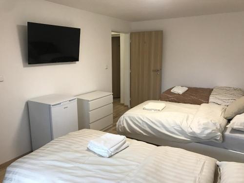 Katil atau katil-katil dalam bilik di Apartment Tereza