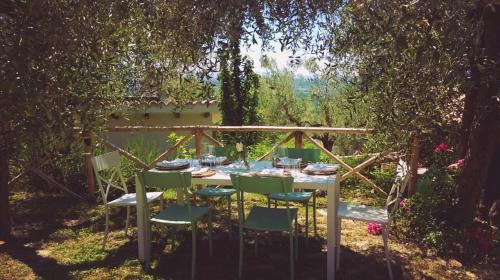 Сад в La Collina Degli Ulivi