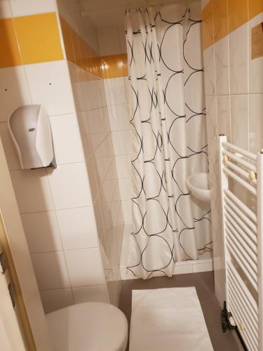 un piccolo bagno con servizi igienici e lavandino di Pirates Hotel a Hainburg an der Donau