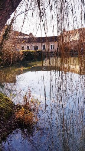 Galería fotográfica de Casa Talbat en Chauvigny