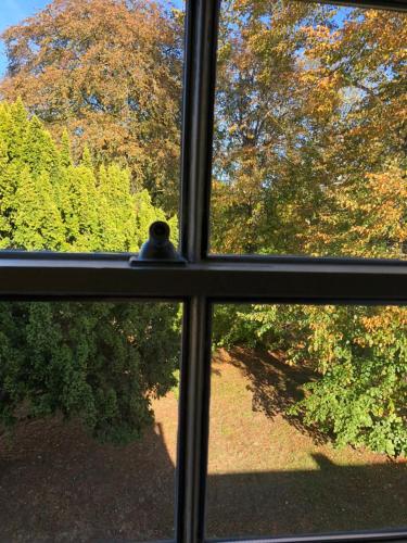 a window with a bird sitting on top of it at Historic Grade II Listed Homely Cottage in Stamford