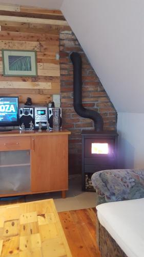 a living room with a fireplace in a house at Kuća za odmor Apathy in Opatovac