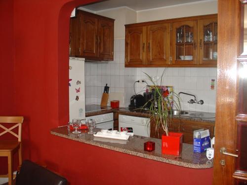 a kitchen with wooden cabinets and a counter top at Historic Oporto Apartment at oporto UNESCO area, in front of Porto Wine caves in Porto