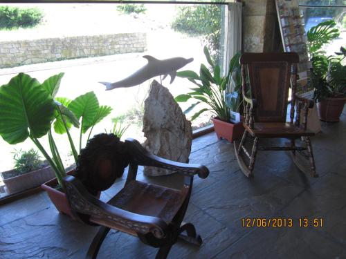 a room with a chair and a shark in a window at Hotel Marfrei in Hinojedo