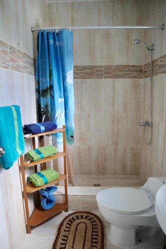 a bathroom with a shower and a toilet and a sink at Casa Azul Las Galeras in Las Galeras