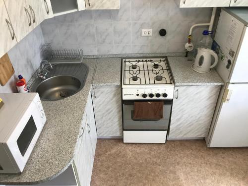 a small kitchen with a stove and a sink at Apartment on Amurskiy Bulvar 62 in Khabarovsk