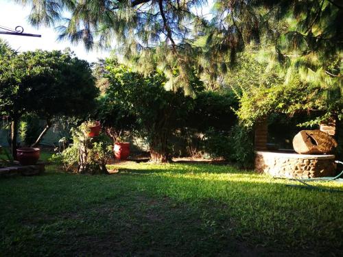 Taman di luar El Maná