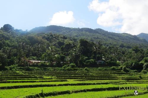 Gallery image of Mahoora Explorer - Knuckles by Eco Team in Kalupana