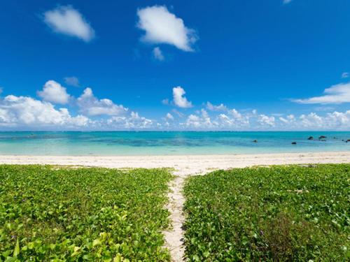 a path leading to a beach with the ocean at Sun Green Resort Hotel Ishigaki in Ishigaki Island