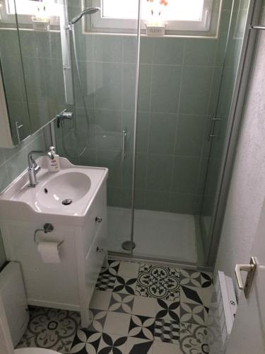 uma casa de banho com um chuveiro, um lavatório e um chuveiro em Ferienwohnung im Harz em Bad Lauterberg