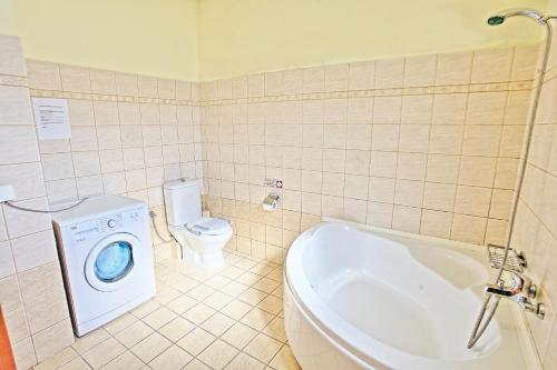 a bathroom with a washing machine and a toilet at Bella Villa Vasiliki in Litherés