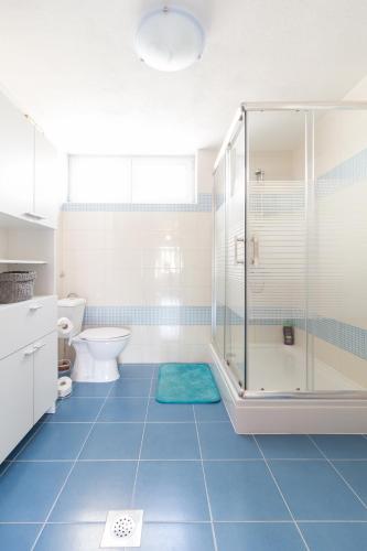 a bathroom with a shower and a blue tile floor at Apartment Janet in Luka