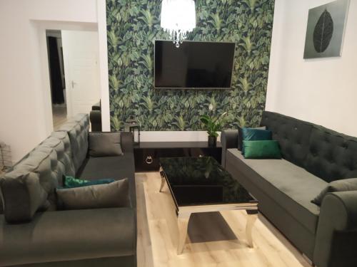a living room with a couch and a tv at Moonlight Apartament in Zielona Góra