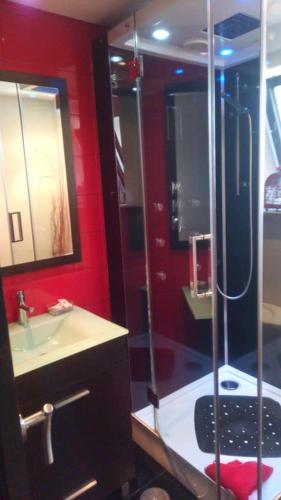 a bathroom with a shower and a sink at seiaalojamentos in Seia