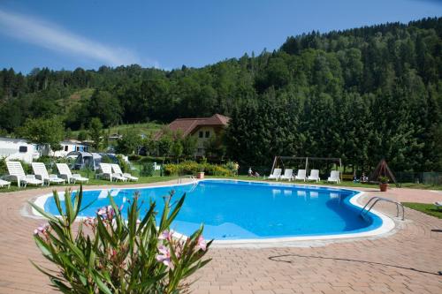 a swimming pool with chairs and a mountain at Albatross Mobile Homes on Camping Bella Austria in Sankt Peter am Kammersberg