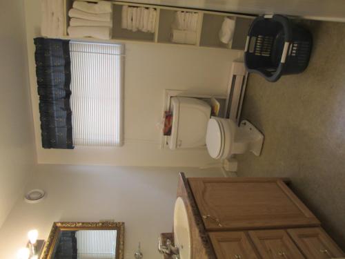 a bathroom with a toilet and a mirror at Comerford's Ocean View Suites in Holyrood