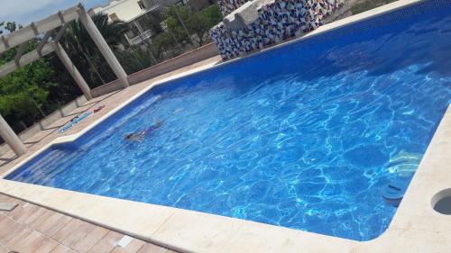 Billede fra billedgalleriet på casarosana i Deltebre