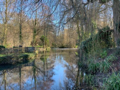 a river with a reflection in the water at Little Norton Mill in Chiselborough