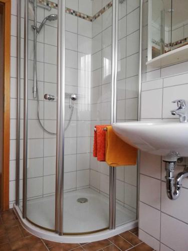 a bathroom with a shower and a sink at Annettes Ferienwohnung in Michelstadt