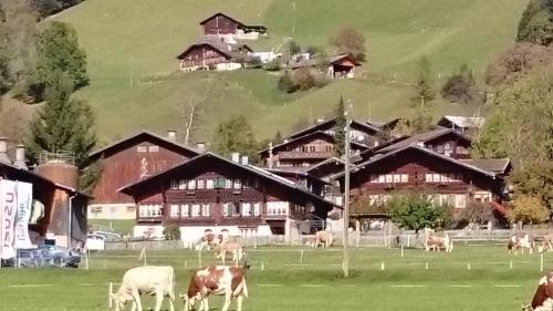 a herd of cows in a field in front of buildings at Mattihus in Sankt Stephan