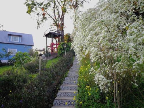 Taman di luar Tip House