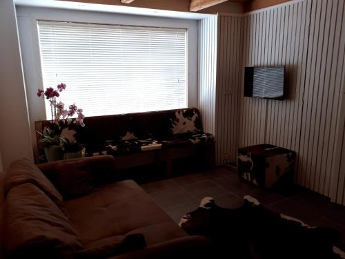 a living room with a couch and a window at markt 1 in Biervliet