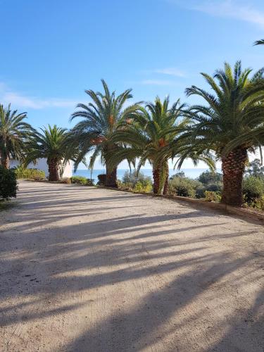 Photo de la galerie de l'établissement CARDELLINI 23, à Sari-Solenzara