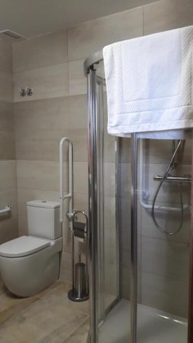 a bathroom with a toilet and a shower with a towel at O Trancallo in Viana do Bolo