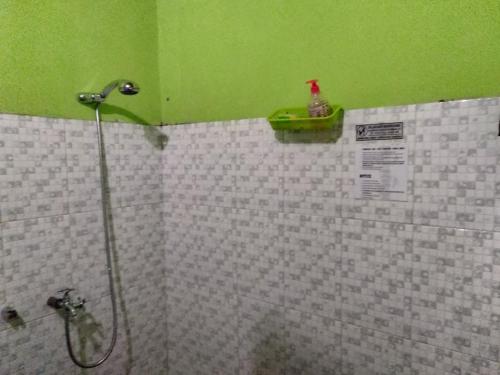 a shower in a bathroom with green walls and white tiles at Setro Kariyo Homestay in Bantul