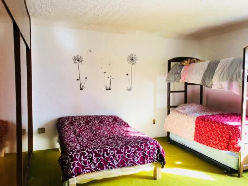 a bedroom with two bunk beds in it at Casa Alsacia in Guadalajara