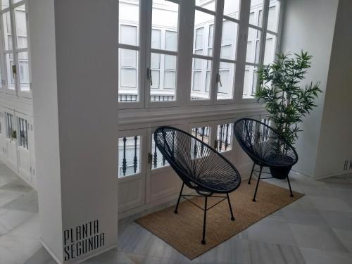two chairs and a plant in a room with windows at Apartamentos GADIR CENTRO in Cádiz