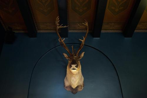 a fake deer head with antlers hanging on a wall at Palihouse Santa Monica in Los Angeles
