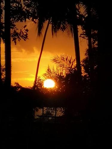 a sunset with palm trees and the sun in the background at Nanajuana Río Dulce in Rio Dulce