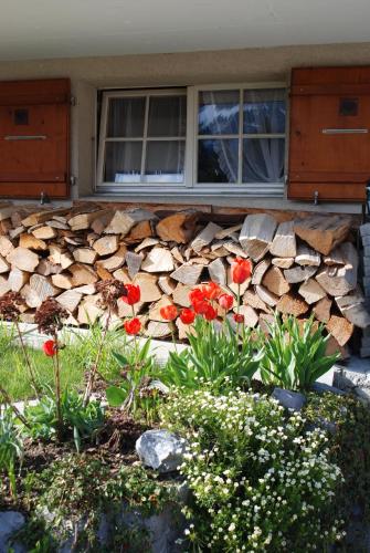 a pile of fire wood on the side of a house at bella Romantica in Brunig