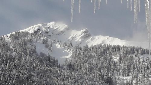 a snow covered mountain with trees and icicles at Haus Baumgartner in Schattwald