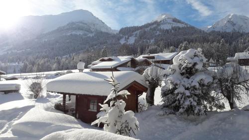 a house covered in snow with mountains in the background at Haus Baumgartner in Schattwald