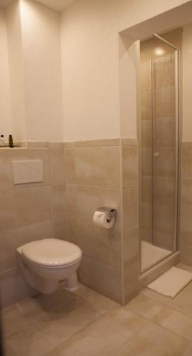 a bathroom with a toilet and a glass shower at Hotel am Markt in Cochem
