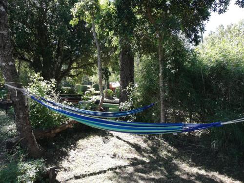 Jardín al aire libre en El Boldo Magico