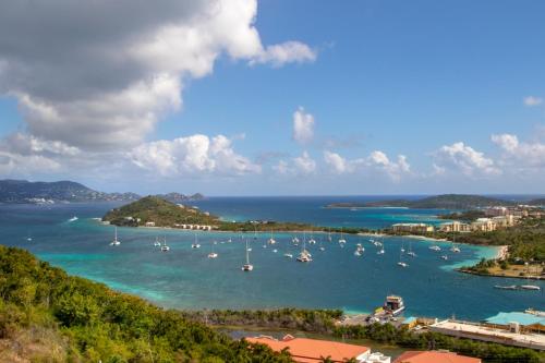 a view of a harbor with boats in the water at Marina Vista St. Thomas in St Thomas