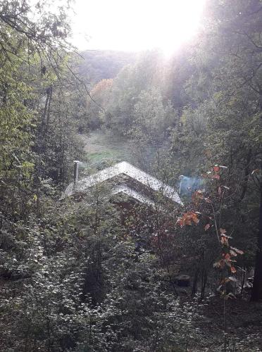 a path through a forest with the sun in the background at Les Cabanes du Beau Vallon in Profondeville