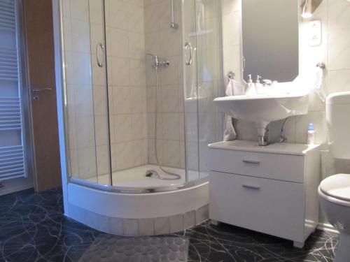 ein Bad mit einer Dusche, einem Waschbecken und einem WC in der Unterkunft Wohlfühl-Oase in Limburg an der Lahn