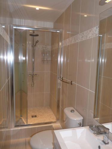 a bathroom with a shower and a toilet and a sink at Ti ' Plage in Les Trois-Îlets