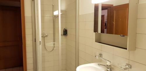 ルツェルンにあるApartment Littauのバスルーム(シャワー、シンク、鏡付)