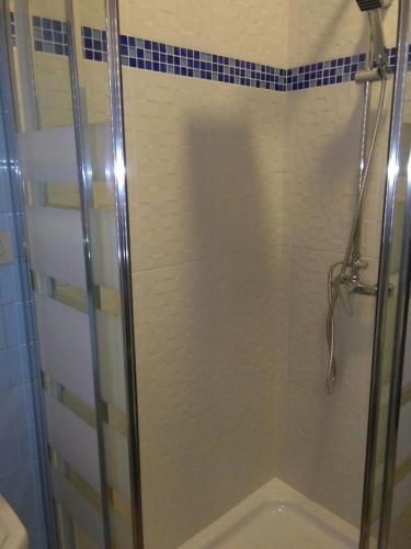 a shower with a glass door in a bathroom at Apartamentos Mareventus in Sanxenxo