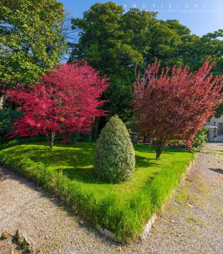 a garden with a bush and trees with red leaves at Antica Dimora Conti Custoza in Roverbella