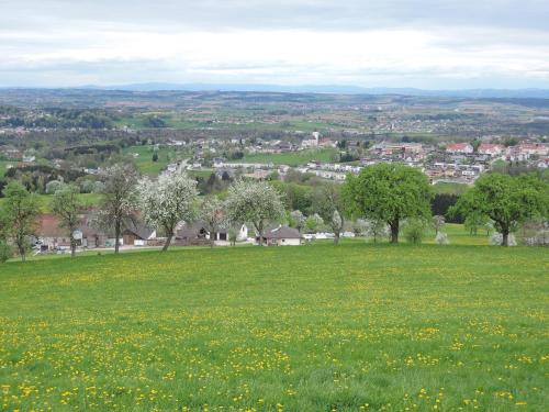 a field of green grass with a city in the background at Landhaus Aigner in Allhartsberg